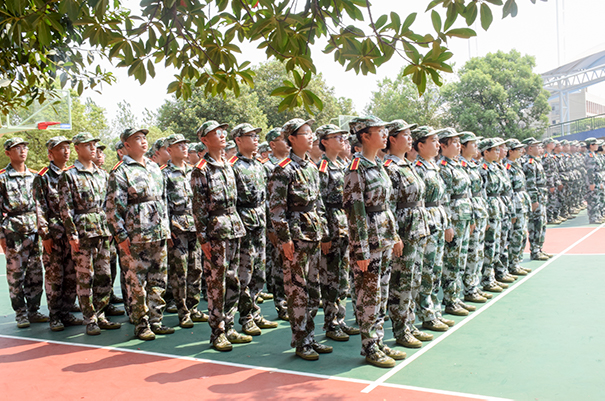 4474043d8299463ab2a0267c65297ef5.jpg tapplay官网